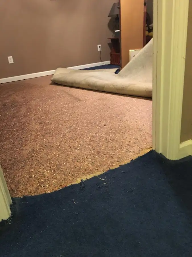 Carpet pad removal revealing water damage during Water Mitigation Services in Wyndham