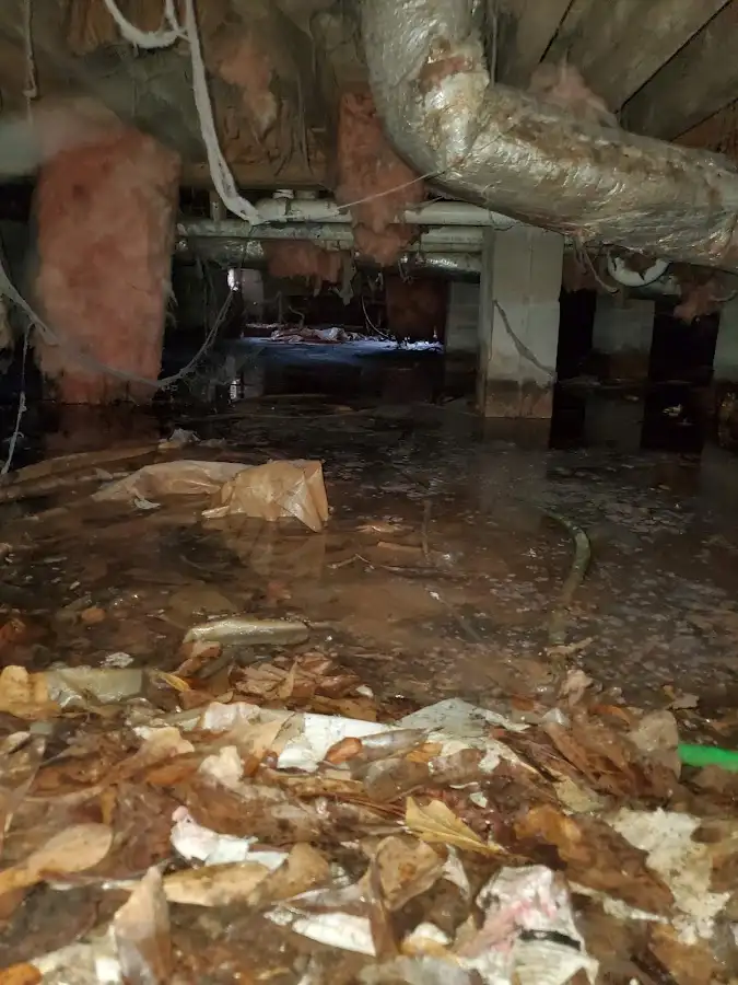 Crawl space flood assessment for Commercial Water Damage Restoration in Wyndham
