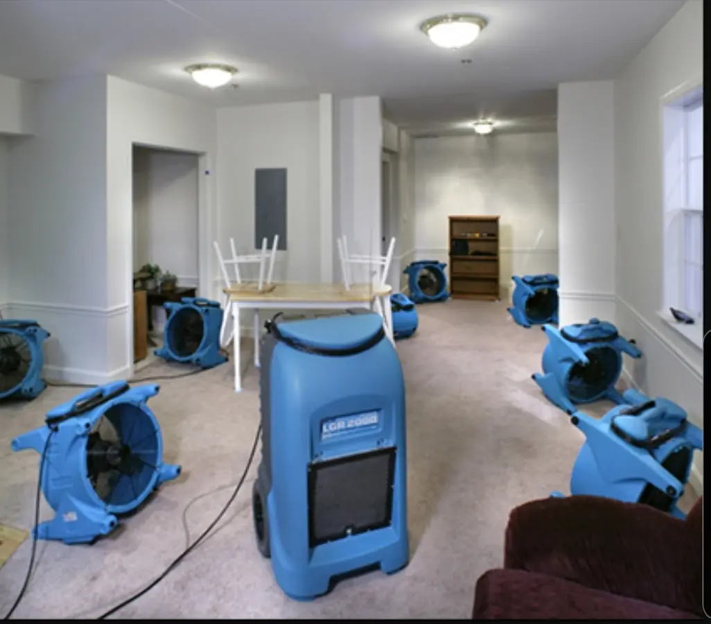Air movers and dehumidifier setup for Water Extraction & Removal in Wyndham